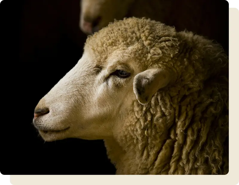 featured image-about